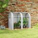 Serre de jardin de 1,8 m², serre à tomates, 2 portes sectionnelles à fermeture éclair, 4 fenêtres sectionnelles, acier, polyéthylène 135 g/m², blanc