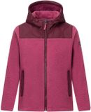 Regatta Myla Hybride fleece voor kinderen, 7 jaar, Paars/Vijg