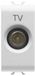 Gewiss GW10362 wandcontactdoos Wit