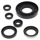 Vertex-Winderosa 822262 Olie Keerring Kit