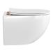 Brauer Tornado hangtoilet – spoelrandloos – diepte 52,5 cm – met softclose zitting – glans wit TL-TOHW