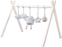 roba Babygym Style Lichtblauw + Aanhanger - Speelboog van Wit Gelakt Hout
