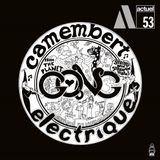 Coast2Coast Gong - Camembert Electrique (LP)