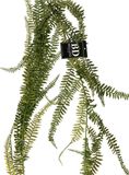 Bellatio Design kunstplant/hangplant slinger - Varen/Monilophyta - groen - 180 cm lang - planten guirlandes