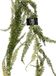 Bellatio Design kunstplant/hangplant slinger - Varen/Monilophyta - groen - 180 cm lang - planten guirlandes