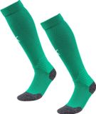 Puma Teamliga Voetbalkousen - Groen | Maat: 35-38