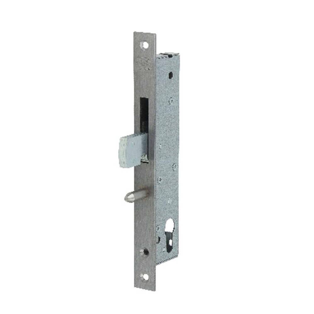 Nemef 9690 Haakschootslot | DM45mm | voorplaat RVS 24x245mm rechthoekig | staal verzinkte zwenkschoot | zonder geleidepen | DR 1+2+3+4 - 9969507100