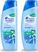 Head & Shoulders 2 x Anti-Roos Shampoo Pure Intense Extra Verkoelend 250 ml Voordeelverpakking
