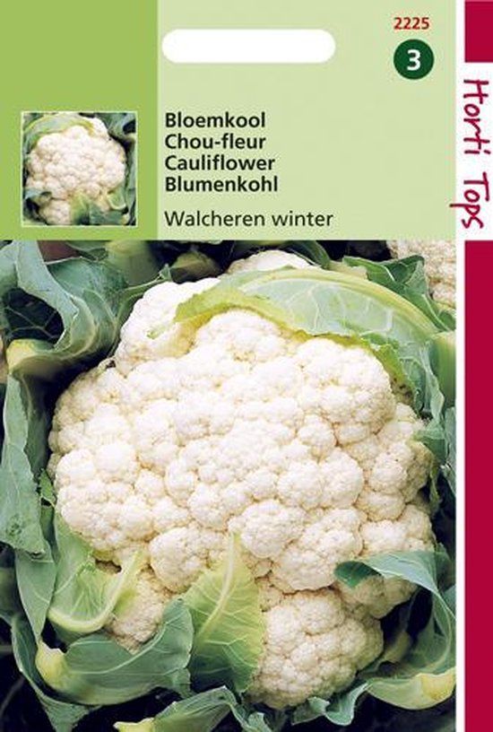 Hortitops Bloemkool Walcheren Winter Zaden