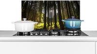 KitchenYeah Spatscherm keuken 70x30 cm - Kookplaat achterwand Boom - Natuur - Zon - Bos - Muurbeschermer - Spatwand fornuis - Hoogwaardig aluminium