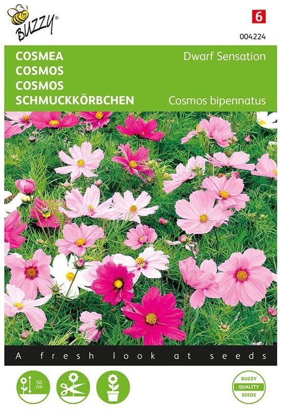 Buzzy Zaden Cosmos Cosmea Sonata gemengd Buzzy
