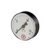 RIEGLER 102015-258 Standaardmano, plaatstaal, G 1/4 midden achter 0-25,0 bar, Ø 100, 1 st.