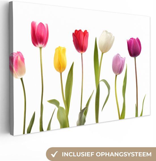 OneMillionCanvasses Canvas Schilderij 180x120 cm - Tulpen - Bloemen - Wit - Rechthoekig