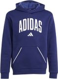 Adidas Sport J Clgt Oh Fl Hd Sweatshirt - Kinderen - Blauw - Maat 128