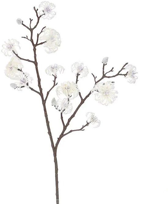 Hortus - Magnolia tak cream