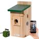 Luxe vogelhuisje nestkast Eazy met wifi-camera en voeding, vogelobservatie met nesthulp van hout en app, Ø 40 mm invliegat, groen