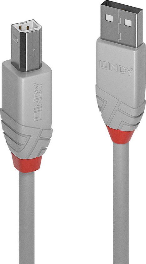 Lindy USB 2.0 A Male naar USB 2.0 A Male Kabel, 1 meter, Grijs
