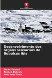 Desenvolvimento Edicoes Nosso Conhecimento Paperback - Desenvolvimento dos órgãos sensoriais do Bubulcus ibis