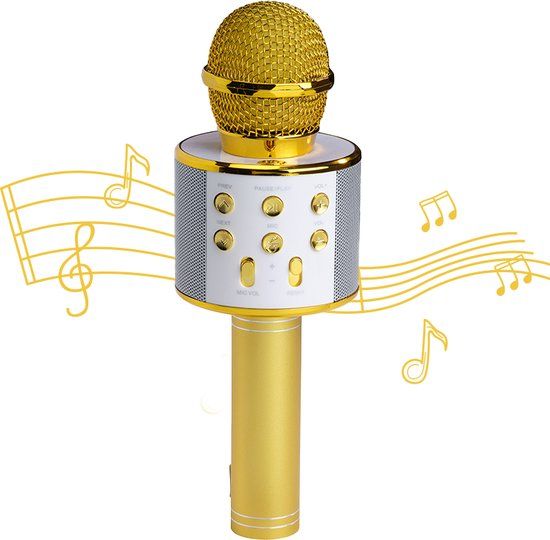 Denver KMS-20GOMK2 Karaokemicrofoon Goud