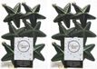 Merkloos Decoris kersthanger sterren - 12x st - donkergroen - 7 cm - kunststof