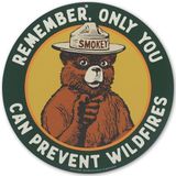Smokey Bear Remember Only You Can Prevent Wildfires Rond metalen bord