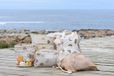 Play & Store opbergtas/ strandtas sands groot