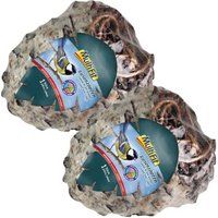 MultiFit MultiFit voeder voor wilde vogels reuzendennenappel 2 st