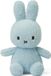 Bon Ton Toys Nijntje - Terry Bleu Clair - 23 cm