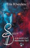 Seelendämmerung: Tredition GmbH Seelendämmerung