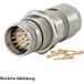 Hummel Set Inkl. Kontakte M23 Signal Wanddurchführung Kupplung, Crimpein. Gerade Polzahl 12-pol., Stift Mit Gegenmutter Hinterwand, Kabelabgang Gerade, Klemmbereich 3,0mm - 7,0mm - 1 Stück