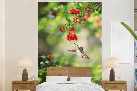 Nr1Wallpaper Behang - Fotobehang Vogel - Kolibrie - Rood - Groen - Breedte 200 cm x hoogte 300 cm