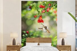 Nr1Wallpaper Behang - Fotobehang Vogel - Kolibrie - Rood - Groen - Breedte 200 cm x hoogte 300 cm