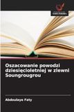 Oszacowanie powodzi dziesięcioletniej w zlewni Soungrougrou