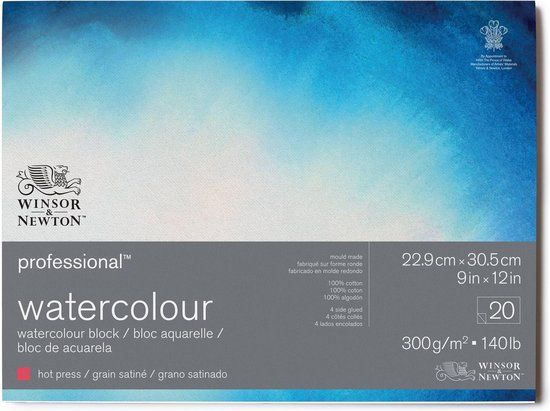 Winsor & Newton Professioneel Aquarelpapier Blok - 22,9 x 30,5 cm, 20 vellen, 300 g/m², Koudgeperst