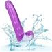 CalExotics Queen Size Dong 8 Inch Paars