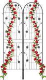 Relaxdays Plantenklimrek set van 2 - 200x50 cm - Metaal - Zwart