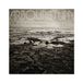 Konkurrent Arbouretum - Coming Out Of The Fog (LP) (Coloured Vinyl)