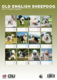 CalendarsRUs Old English Sheepdog A3 Kalender 2027
