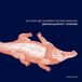 Outhere Zentralquartett Synopsis - Auf Der Elbe Schwimmt Eine Rosa Krokodil (CD)