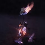 Konkurrent Farwarmth - Momentary Glow (CD)