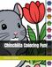 Chinchilla Coloring Fun!