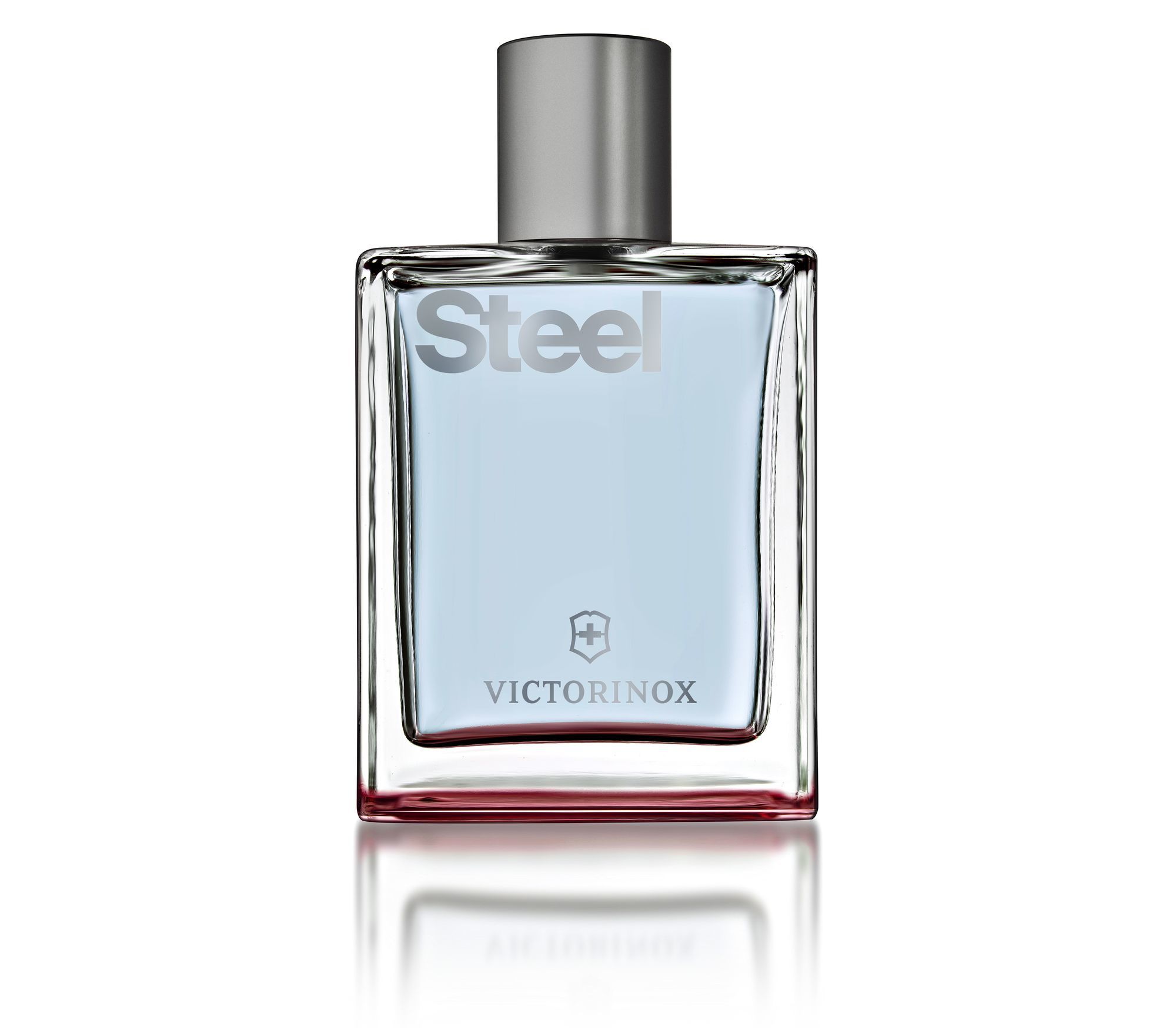 Victorinox Steel / 100 ml / Men