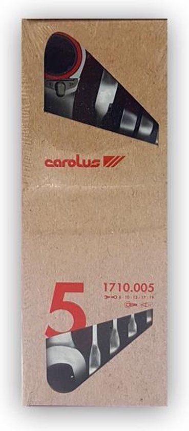 Gedore RED R07105005 Ring-/steekratelsleutelset - 8-19mm - 5-delig