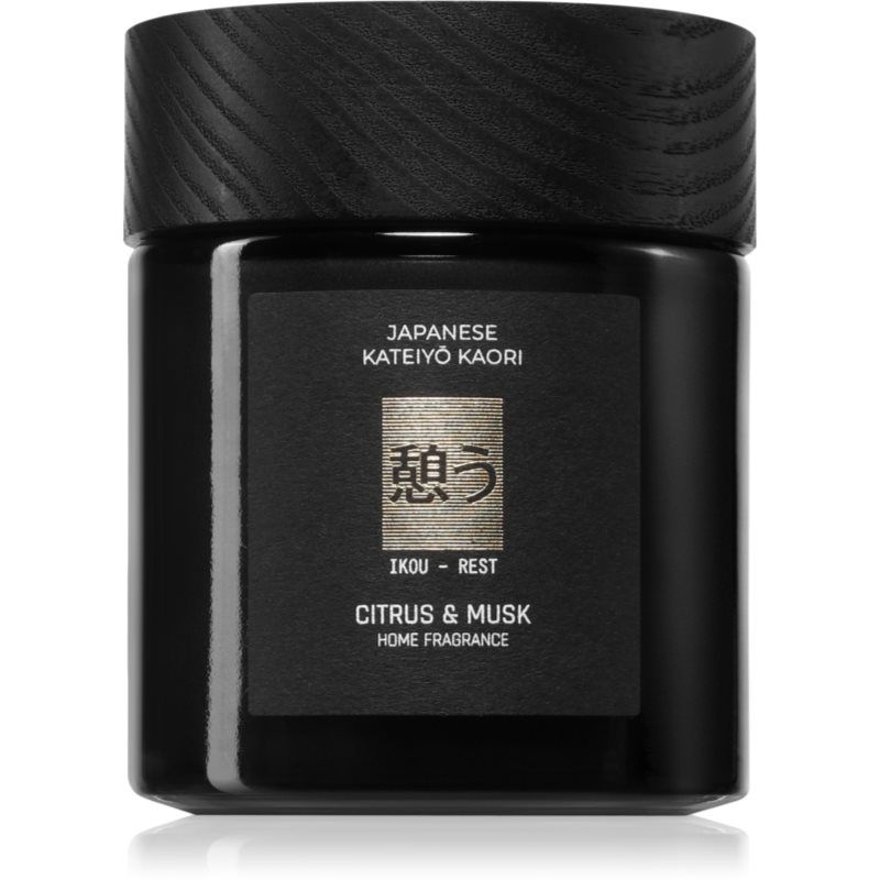 Vila Hermanos Apothecary