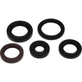 Vertex Gasket 822394 Motoroliekeerringset compatibel met/vervanging voor Polaris Phoenix 200 2005-2021 200 Oliekeerringset, RZR 170 2009-2020 170 Oliekeerringset, zaagtand 200 2006-2007 200