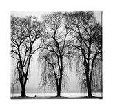 Homemania Wandafbeelding voor woonkamer, slaapkamer, meerkleurig, 60 x 3 x 60 cm HM20KNV60x60-59, polyester, hout
