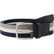 Lloyd Riem blauw-grijs, Gestreept