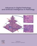 Advances Libri GmbH Advances in Digital Pathology and Artificial Intelligence in Pathology