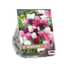 Baltus Urban Flowers - Fantastic Four per 17 Baltus