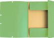 Exacompta 25x Elastomap 3 kleppen in glanskarton 400g/m2 - A4 - Lindengroen - 55513E